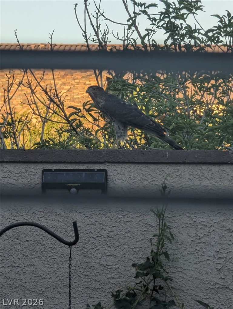 Image of house photo