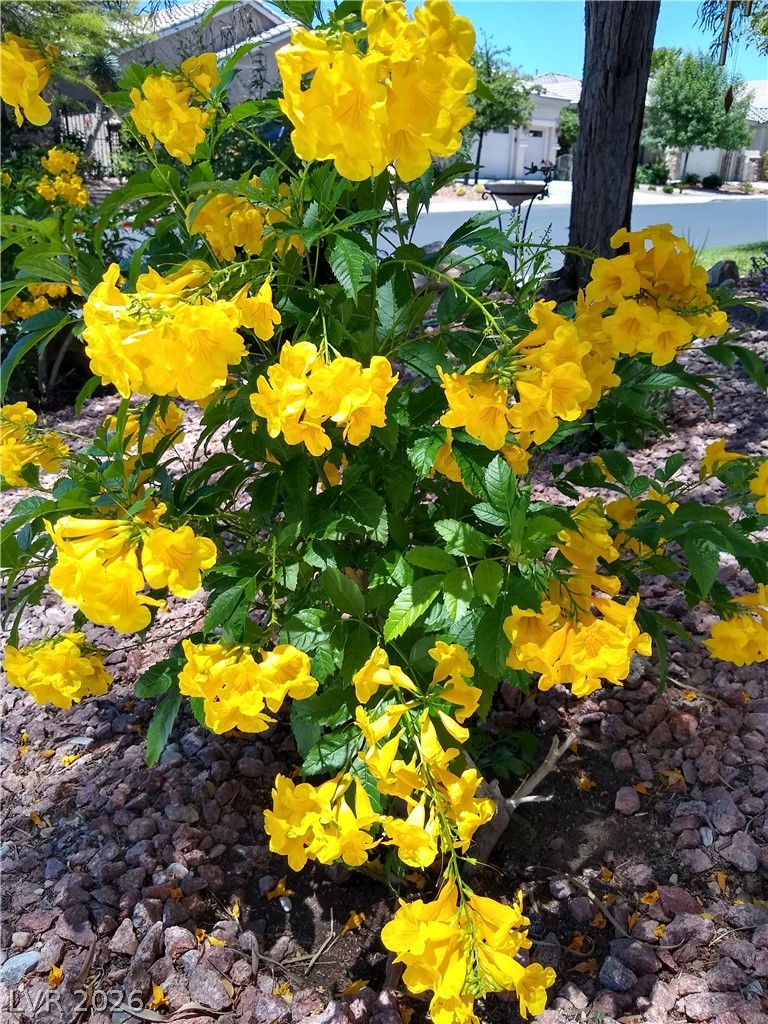 Image of house photo