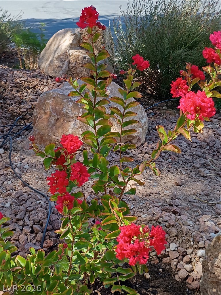 Image of house photo