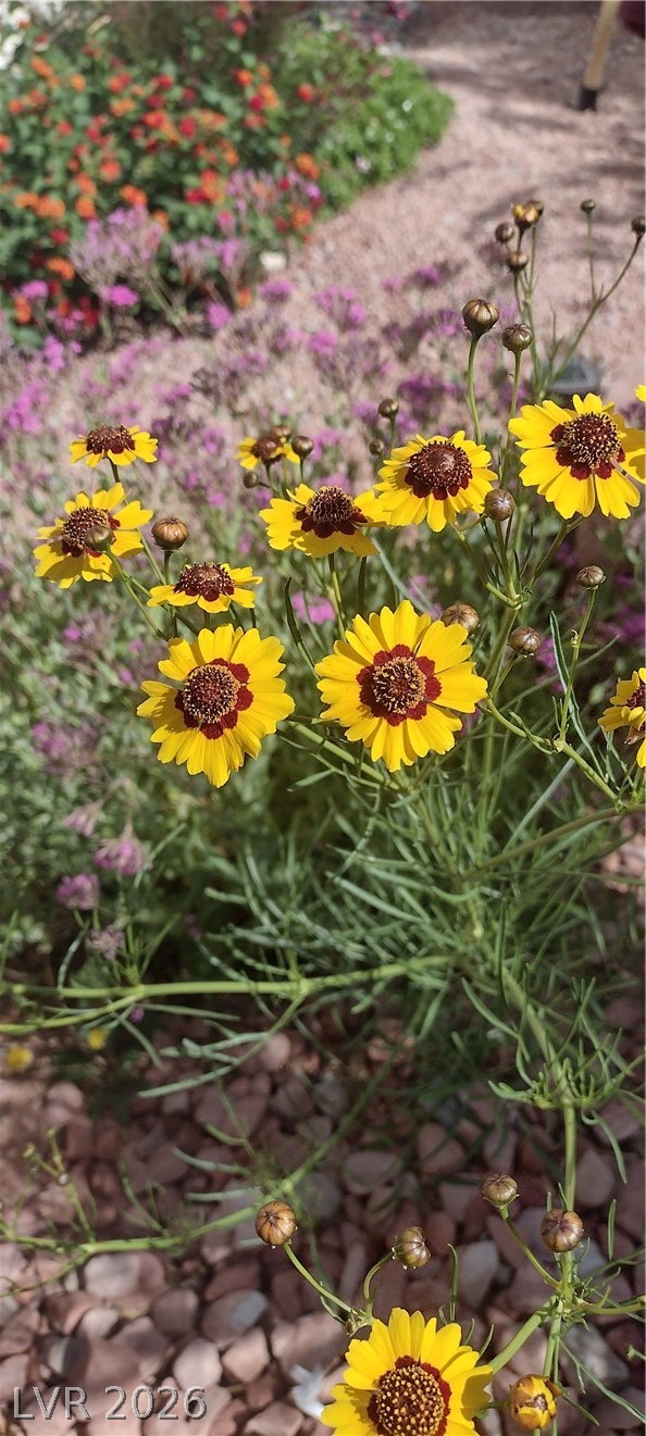 Image of house photo