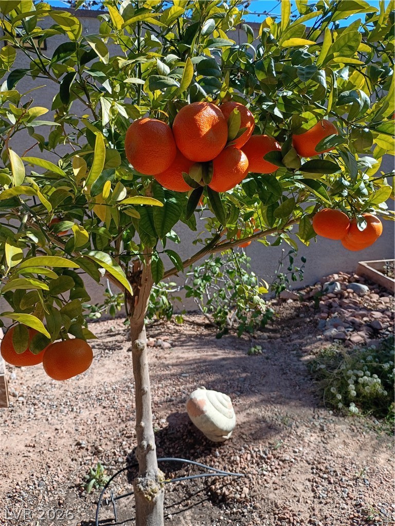 Image of house photo