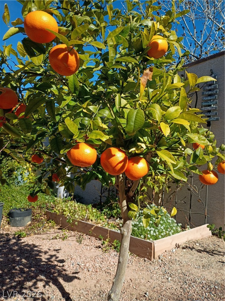 Image of house photo