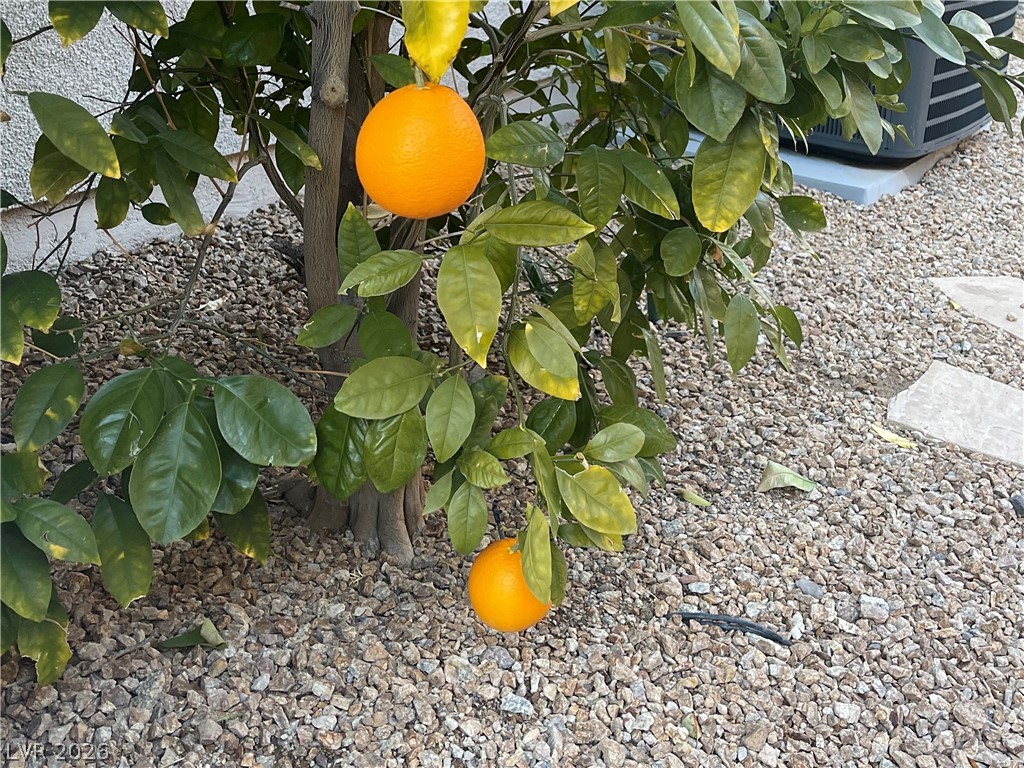 Image of house photo